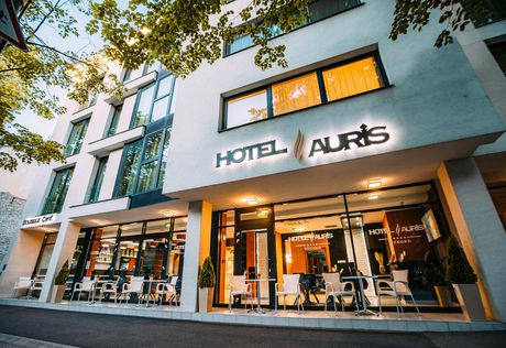 Hotel Auris