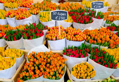 Virágpiac