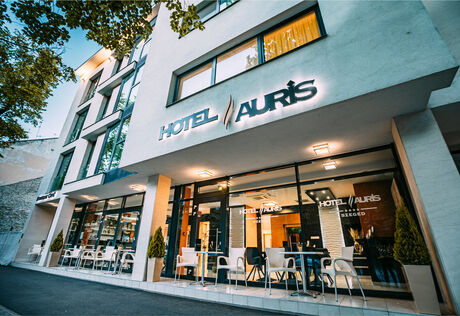 Hotel Auris****
