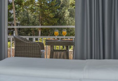 Kétágyas pótágyazható standard, parkra néző balkonos szoba