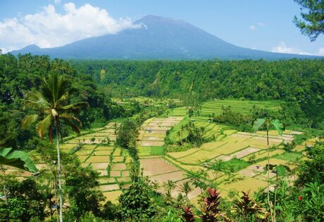 Batur-vulkán és rizsföldek